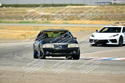 media/Jul-27-2024-Speed Ventures (Sat) [[14cea0cda4]]/Purple/Cotton Corners 1250pm/
